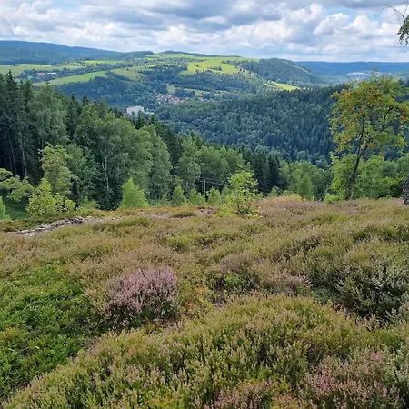 Lägenhetshotell Medica